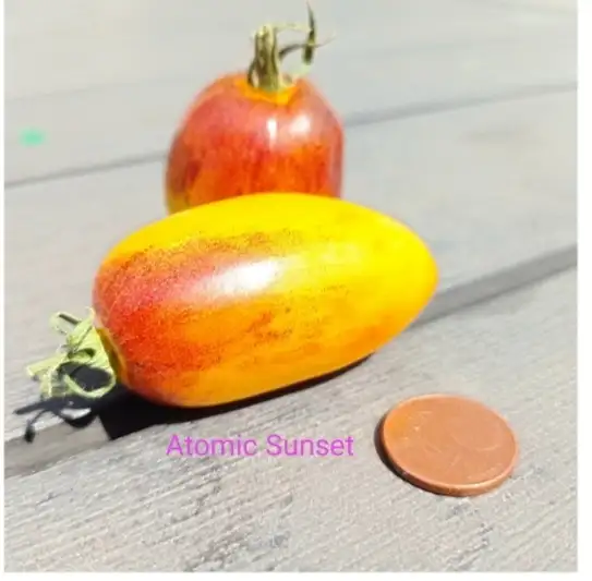 Tomaten: Atomic Sunset