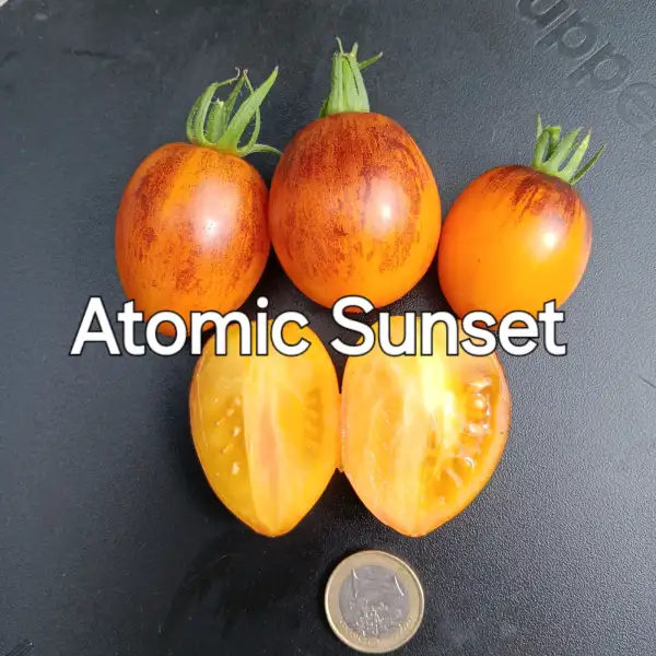 Tomaten: Atomic Sunset