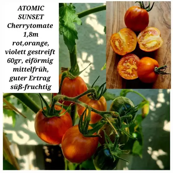 Tomaten: Atomic Sunset