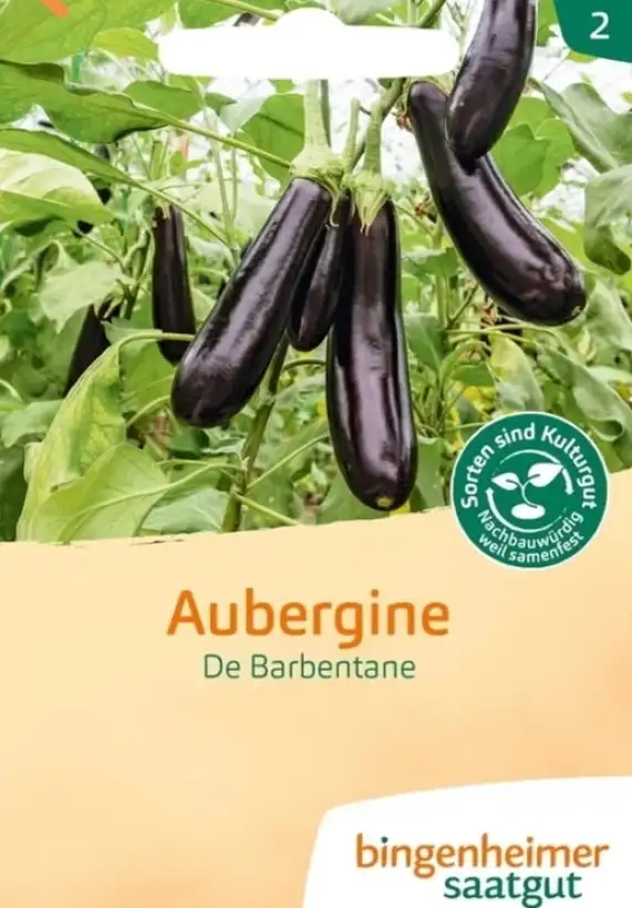 Auberginen: Aubergine de Barbentane