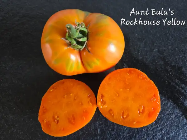 Tomaten: Aunt Eula
