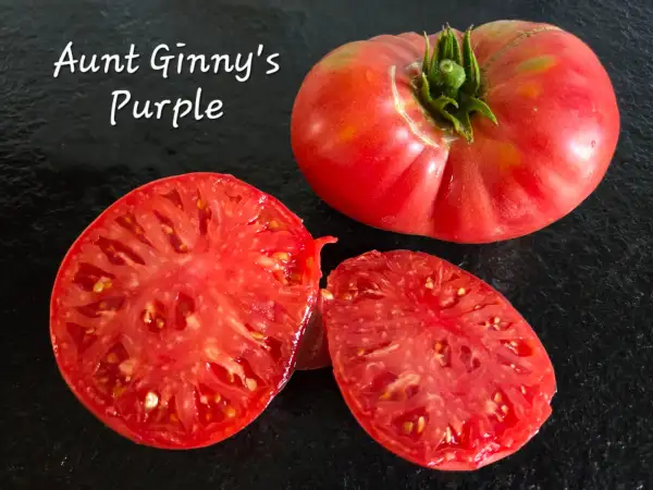 Tomaten: Aunt Ginny