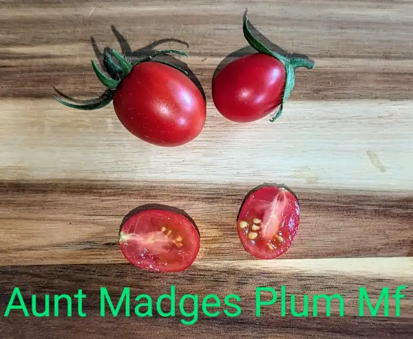 Tomaten: Aunt Madges Plum