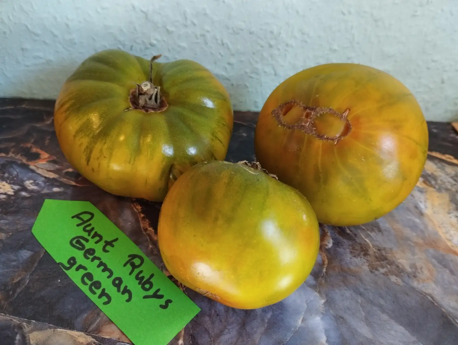 Tomaten: Aunt Rubys German Green