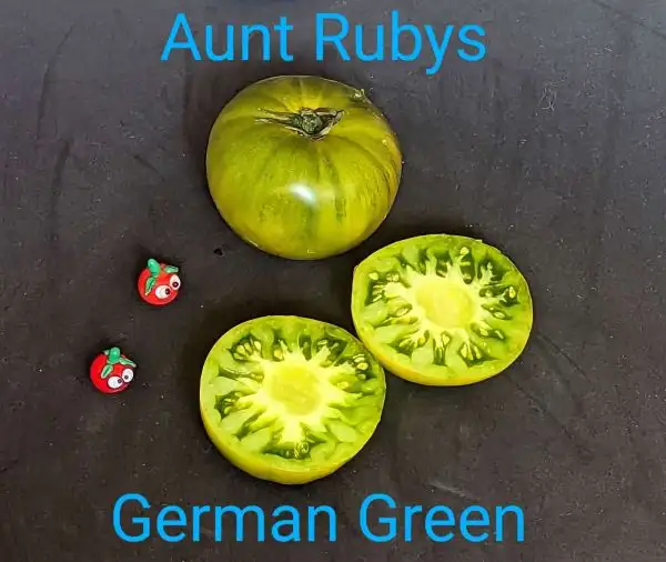 Tomaten: Aunt Rubys German Green
