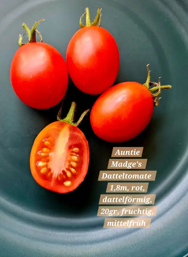 Tomaten: Auntie Madge