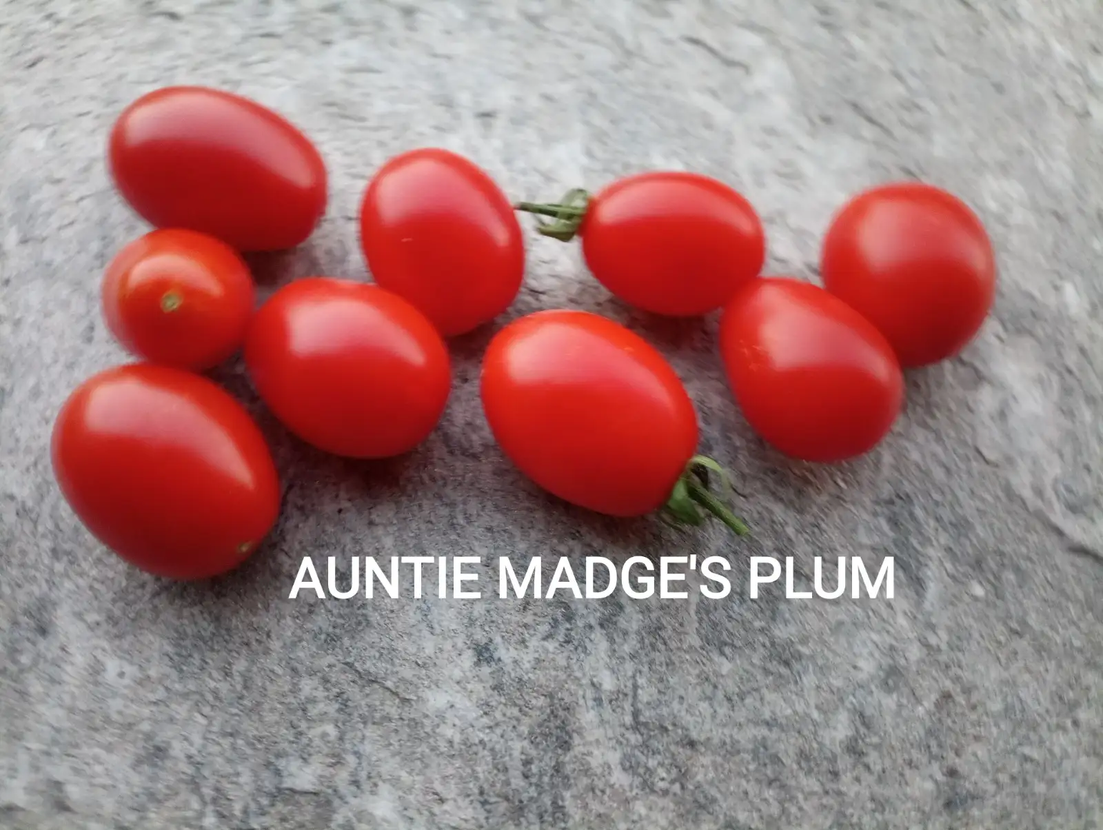 Tomaten: Auntie Madge