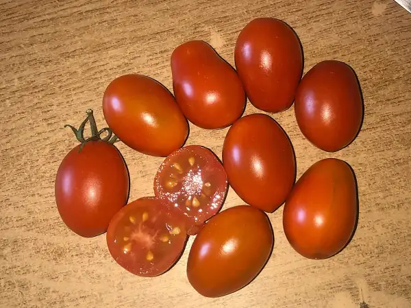 Tomaten: Auntie Madge