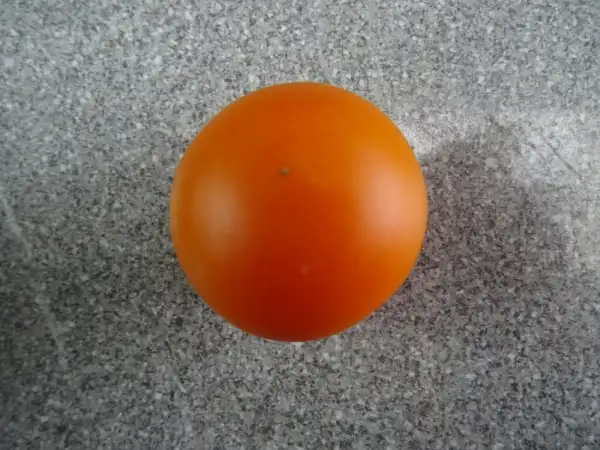 Tomaten: Auriga