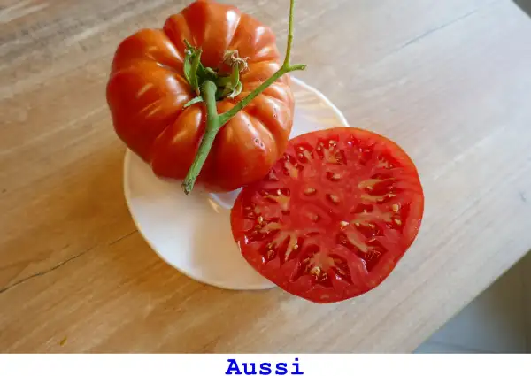 Tomaten: Aussie