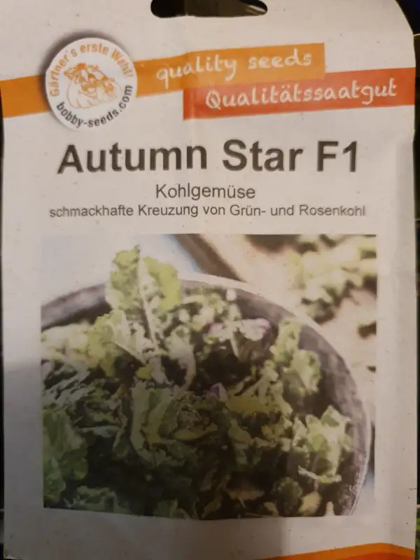 andere Gemüse: Autumn Star