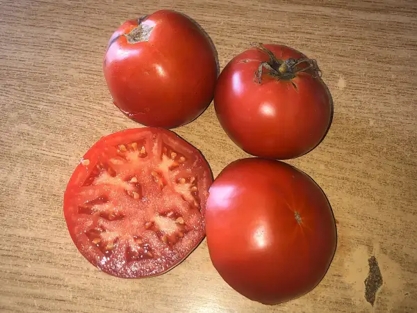 Tomaten: Avalanche