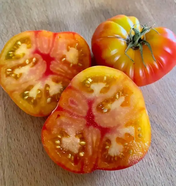 Tomaten: Awesome Dwarf Buschtomate