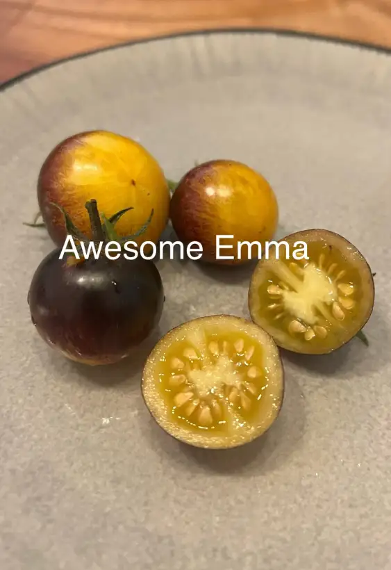 Tomaten: Awesome Emma