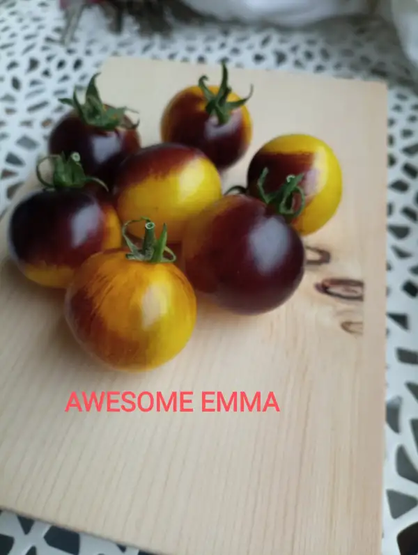 Tomaten: Awesome Emma
