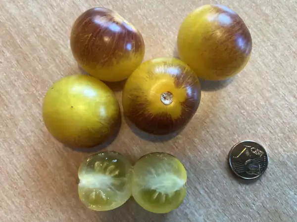 Tomaten: Awesome Emma