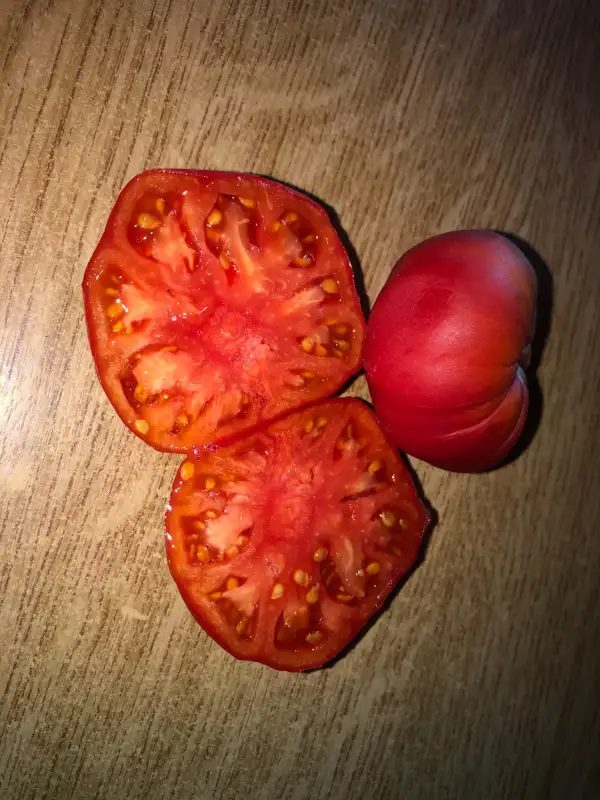 Tomaten: Azerbajanskie