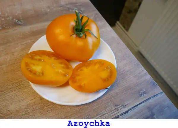 Tomaten: Azoychka