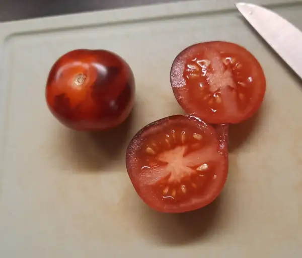 Tomaten: Azteca negra