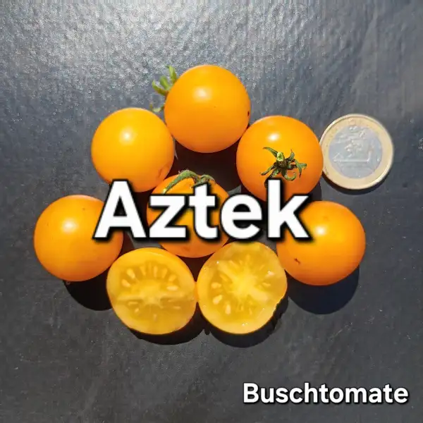 Tomaten: Aztek
