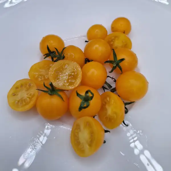 Tomaten: Aztek