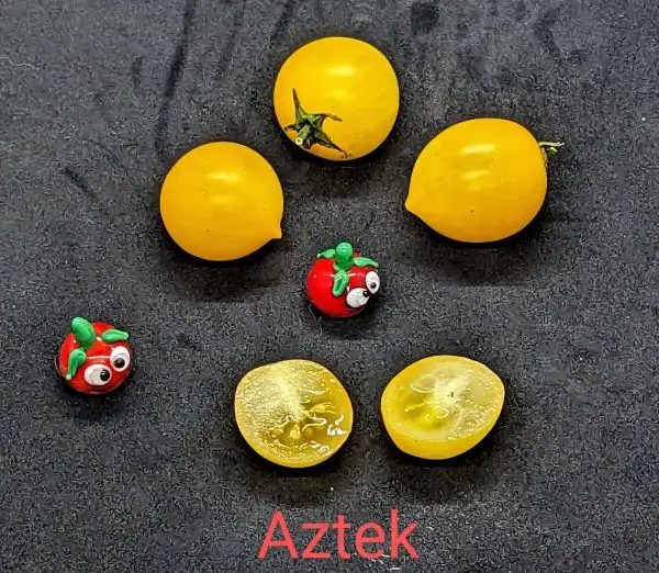 Tomaten: Aztek