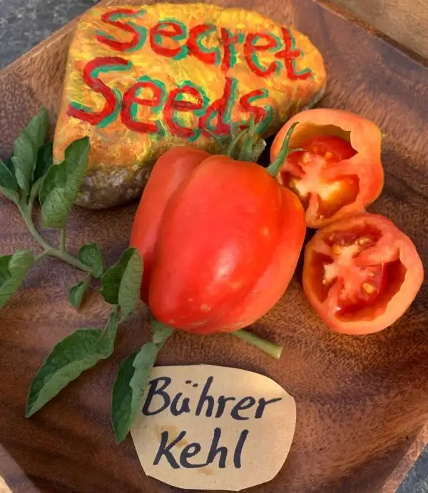 Tomaten: Bührer Kehl