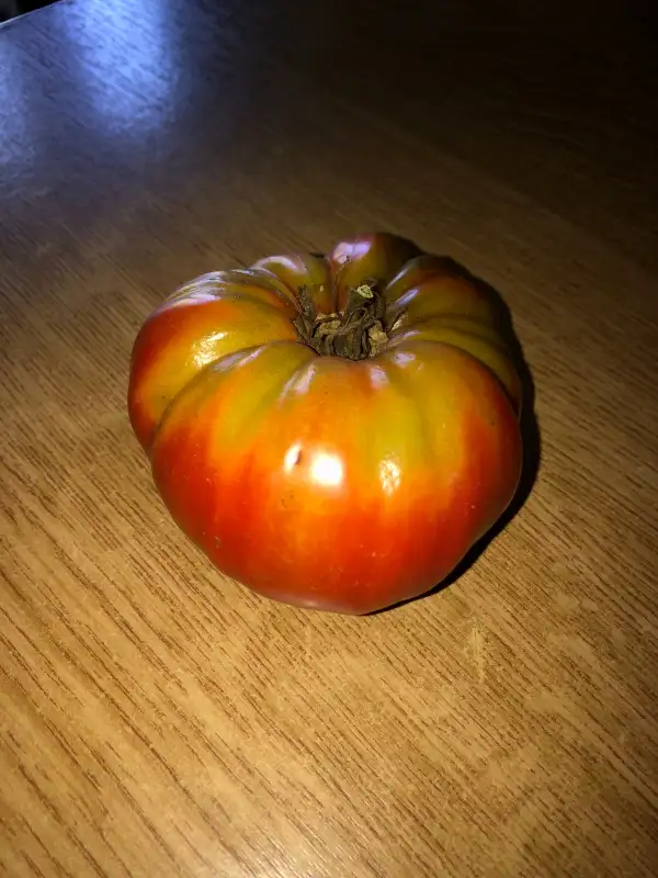 Tomaten: Babushkin Sekret