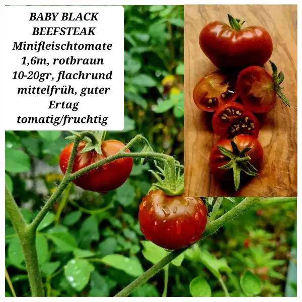 Tomaten: BABY BLACK BEEFSTEAK