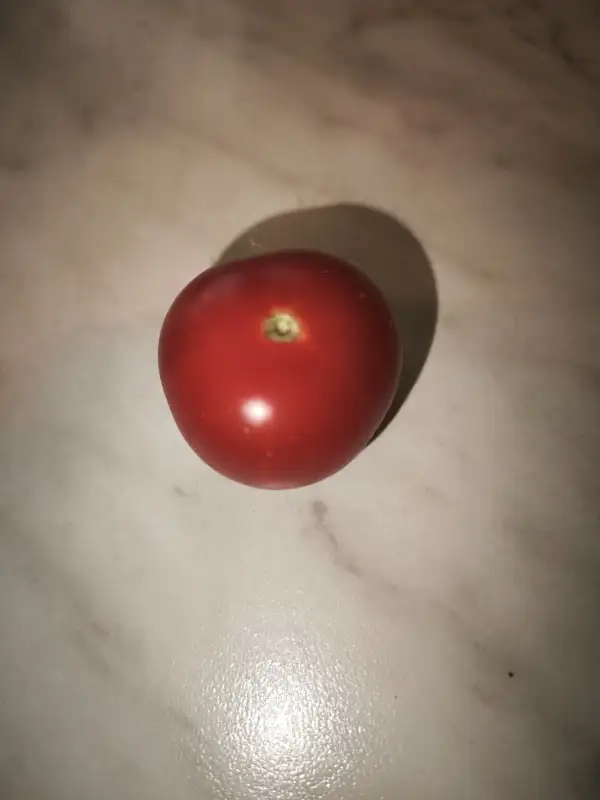 Tomaten: Baby boomer