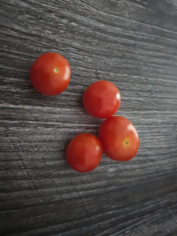 Tomaten: Bajaja