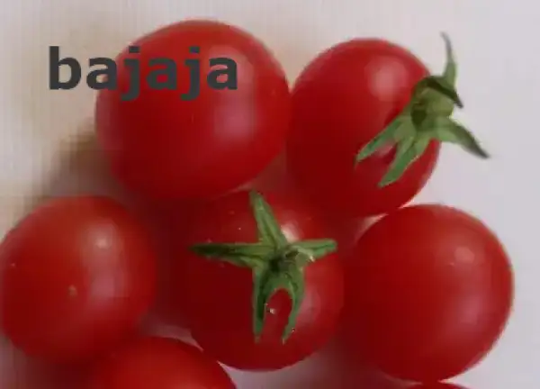 Tomaten: Bajaja