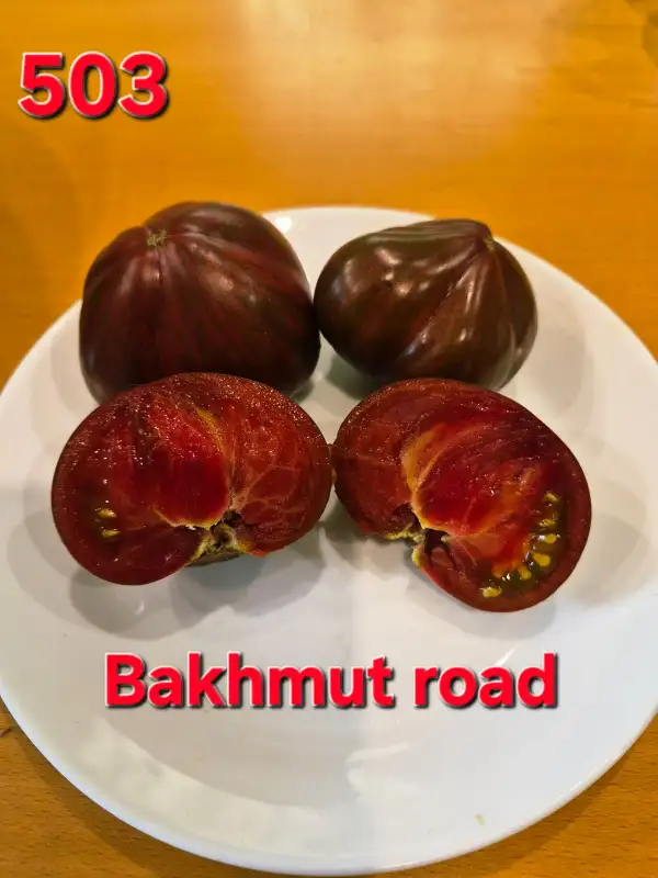 Tomaten: Bakhmut road