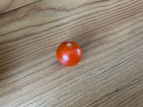 Tomaten: Balconi Red