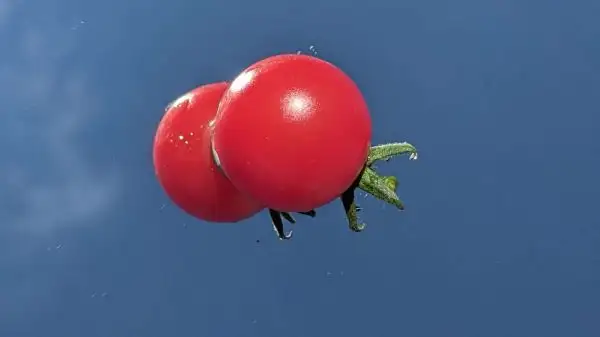 Tomaten: Balcony red