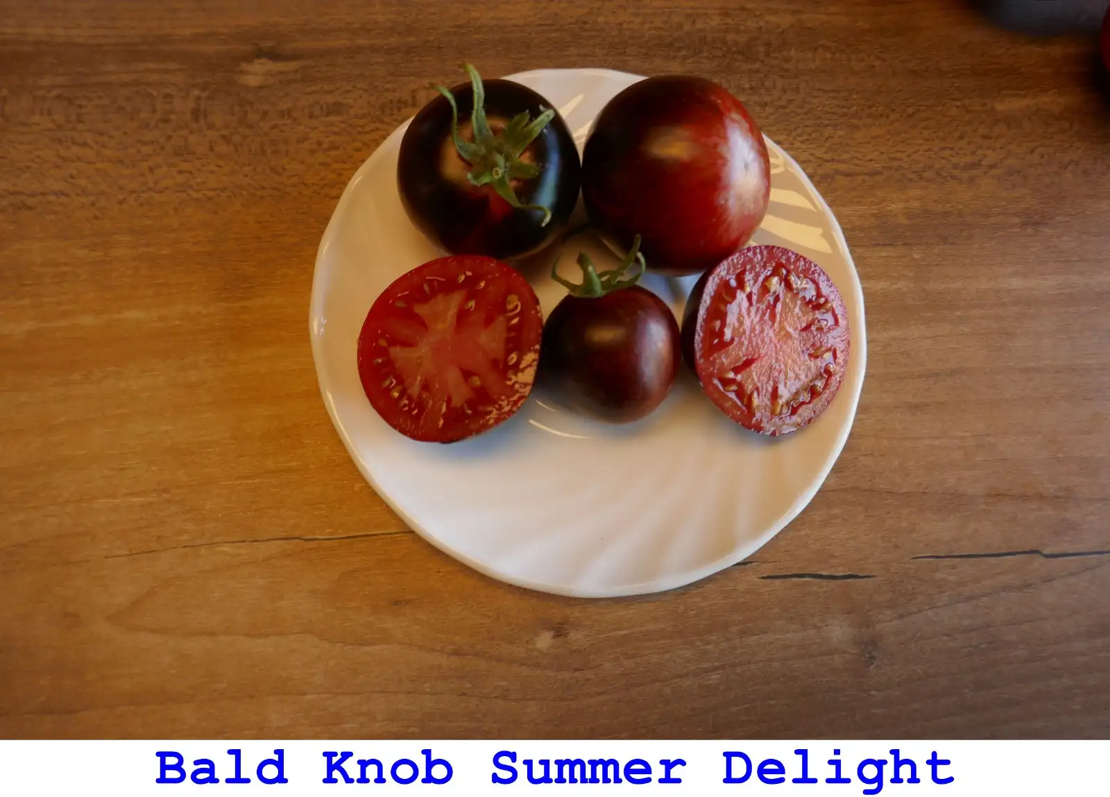 Tomaten: Bald Knob Summer Delight