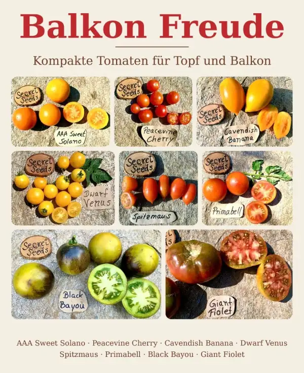 Tomaten: Balkon Freude 2026 - Secret Seeds