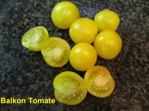 Tomaten: Balkon Tomate