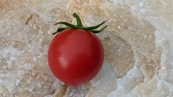 Tomaten: Balkonstar