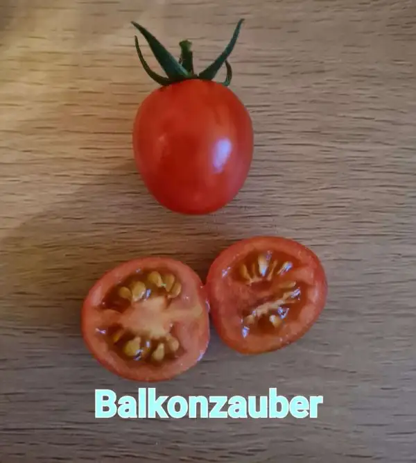 Tomaten: Balkonzauber