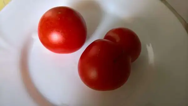 Tomaten: Balkonzauber