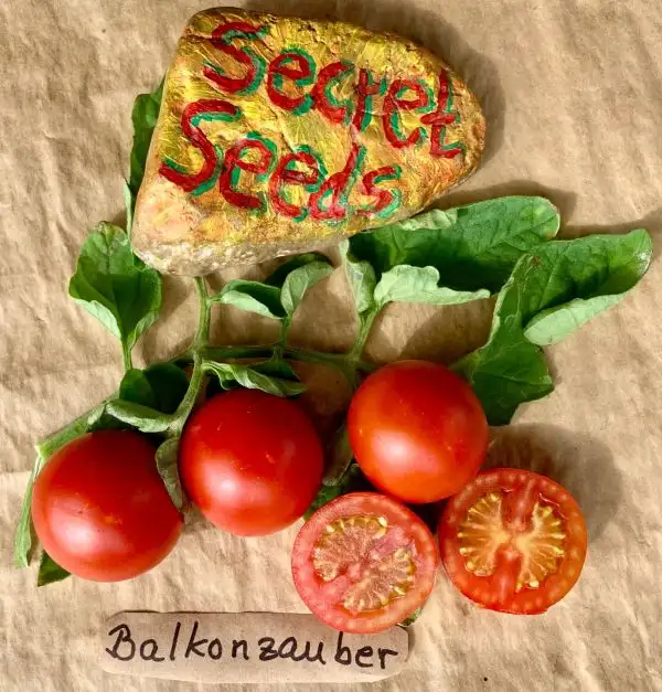 Tomaten: Balkonzauber