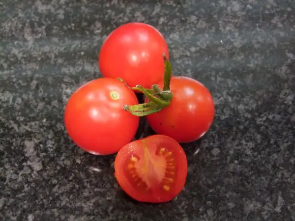 Tomaten: Balkonzauber rot - Buschtomate