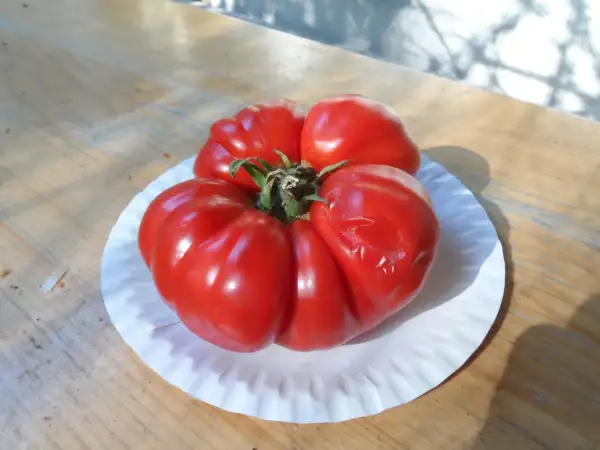 Tomaten: Ballada ( Kat# 2939 )