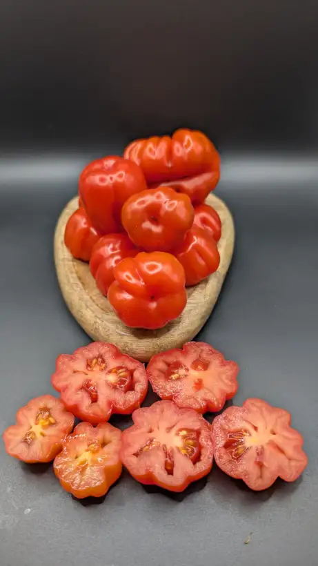 Tomaten: Ballen Multiflora