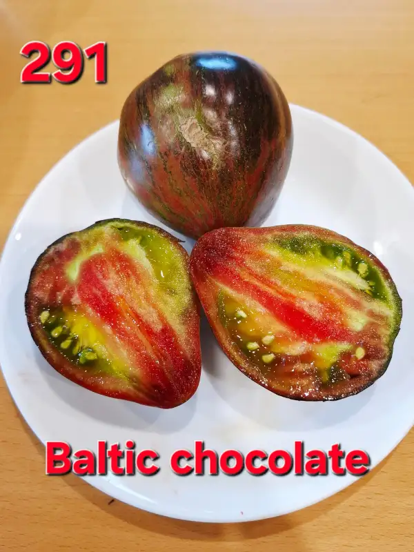 Tomaten: Baltic chocolate