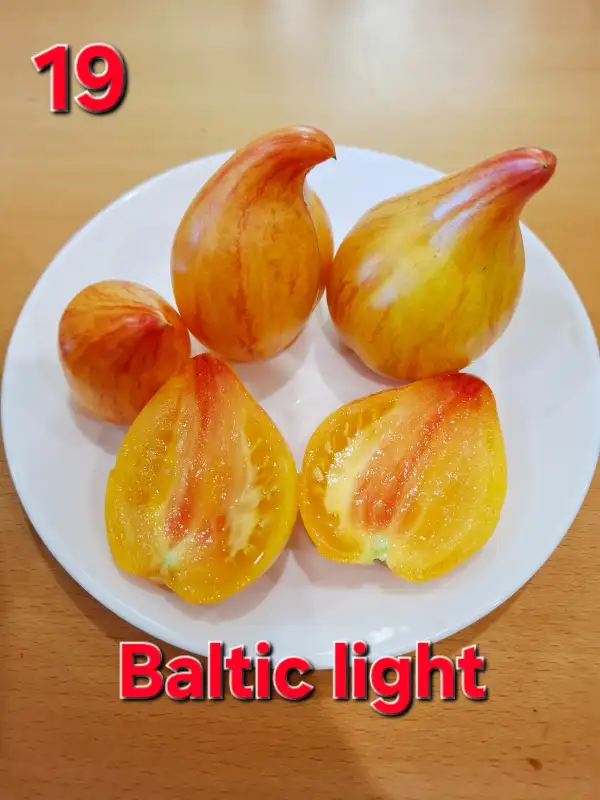 Tomaten: Baltic light
