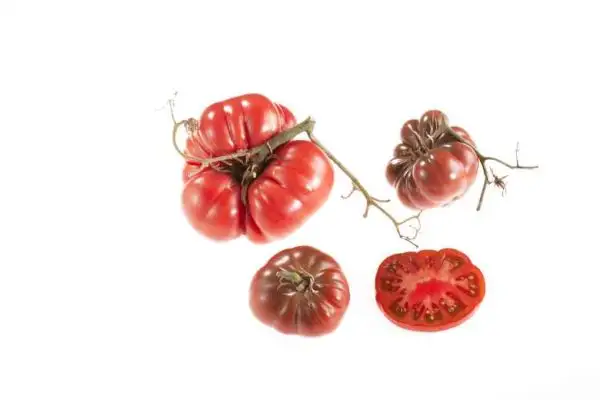 Tomaten: Bamacle