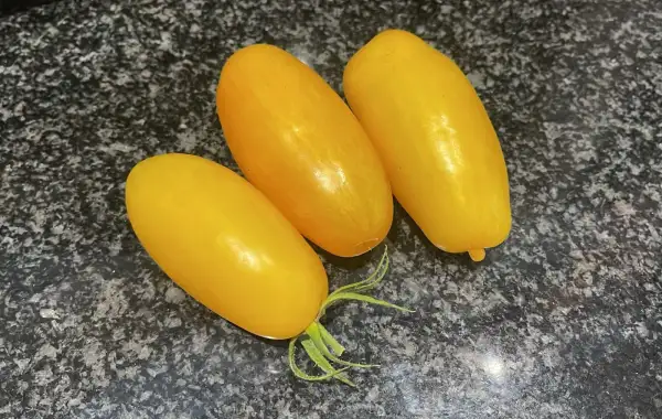 Tomaten: Banana Legs
