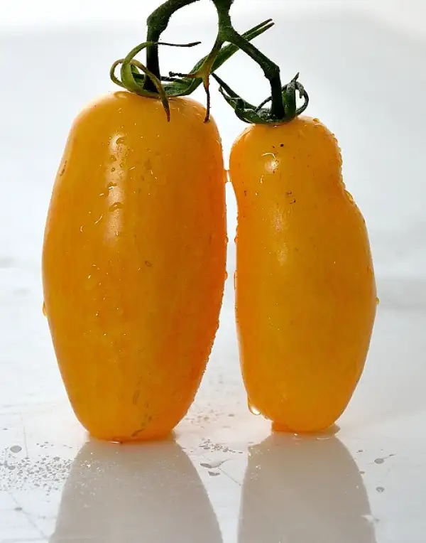 Tomaten: Banana Legs